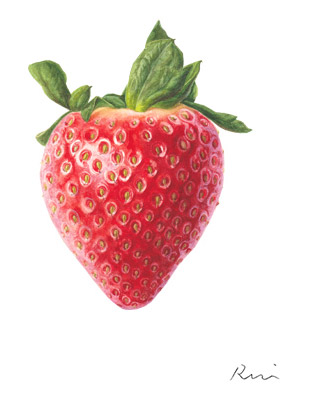 Strawberry by Rui Jiang