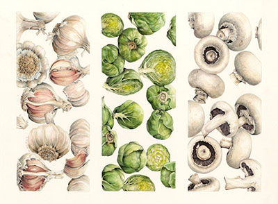 Plants By Design