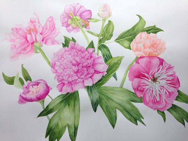 Peonies by Kim Perman