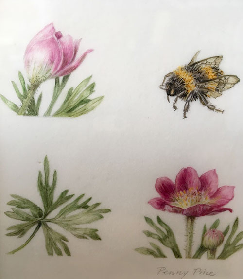 Bee by Penny Price