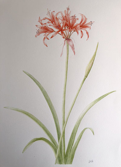 By atist, Shirley Simon